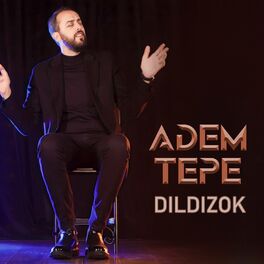 Album cover of Dildizok