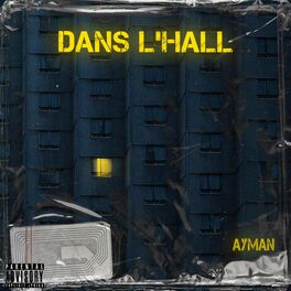 Album cover of DANS L'HALL (feat. AYMAN)