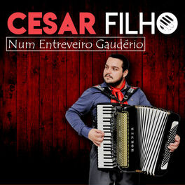 Album cover of Num Entreveiro Gaudério