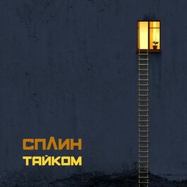 Album cover of Тайком