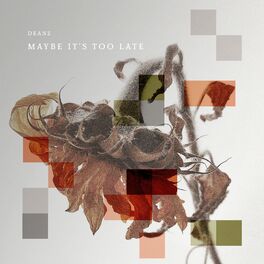 Album cover of Maybe It's Too Late