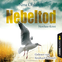 Album cover of Nebeltod - John Benthiens dritter Fall - Hauptkommissar John Benthien 3 (Gekürzt)