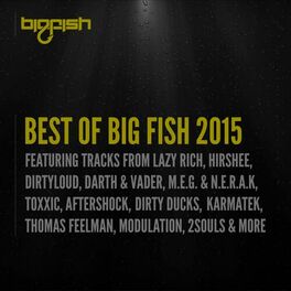 Album cover of Best of Big Fish 2015