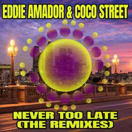 Album cover of Never Too Late (The Remixes)
