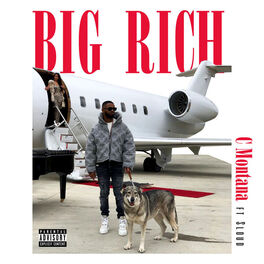 Album cover of Big Rich
