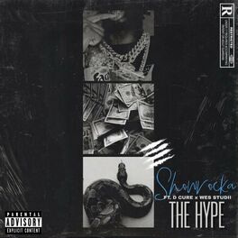 Album cover of The Hype (feat. D.Cure & Wes Studii)