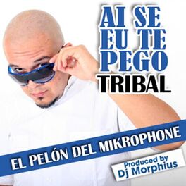 Album cover of Ai Se Eu Te Pego