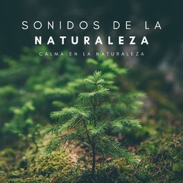 Album cover of Sonidos De La Naturaleza: Calma En La Naturaleza