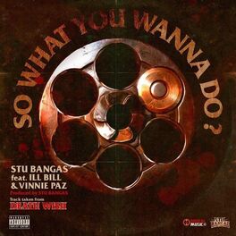 Album cover of So What You Wanna Do (feat. Vinnie Paz)