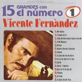 Album cover of 15 Grandes Con El Número Uno