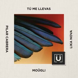 Album cover of Tú Me Llevas (Alternative Version)