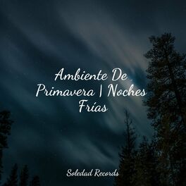 Album cover of Ambiente De Primavera | Noches Frías