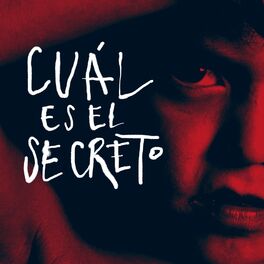 Album cover of Cuál es el secreto (Remixes)