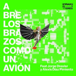 Album cover of Abre los Brazos Como un Avión