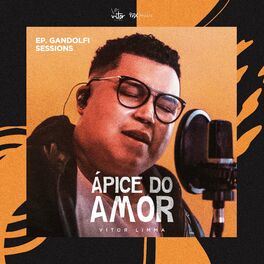 Album cover of Ápice do Amor (Gandolfi Sessions)