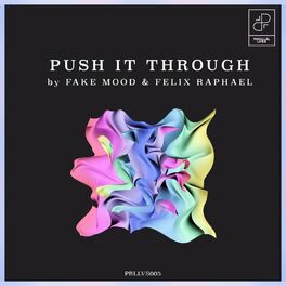 Album cover of Push it through
