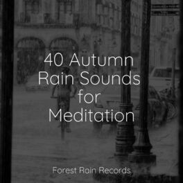 Album cover of 40 Autumn Rain Sounds for Meditation