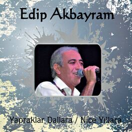 Album cover of Yapraklara Dallara