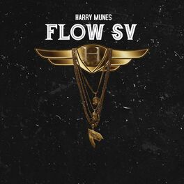 Album cover of Flow Sv