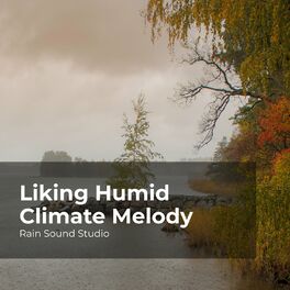 Album cover of Liking Humid Climate Melody