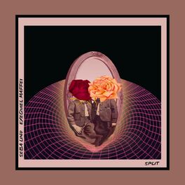 Album cover of Split