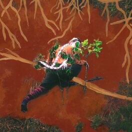 Album cover of Como Um Bicho Vê