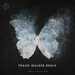 Album cover of Not Ok (Frank Walker Remix)