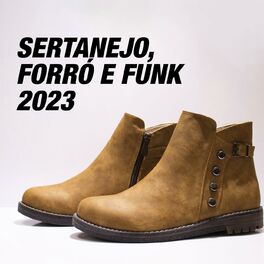 Album cover of Sertanejo, forró e funk 2023