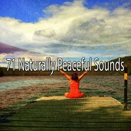 Album cover of 71 Naturally Peaceful Sounds