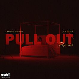 Album cover of Pull out (Remix)