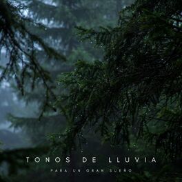 Album cover of Tonos De Lluvia: Para Un Gran Sueño