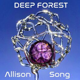 Album cover of Allison Song