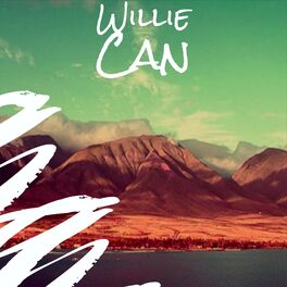 Album cover of Willie Can
