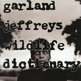 Album cover of Wildlife Dictionary