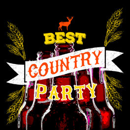 Album cover of Best Country Party