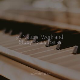 Album cover of 50 Natural Work and Study Focus Tracks