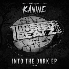 Album cover of Into The Dark