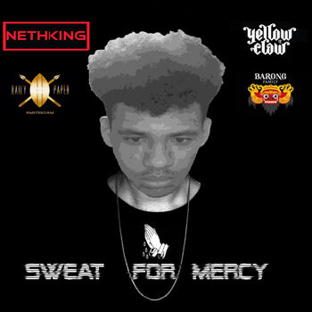 Nethking 679 Sfm Remix Listen With Lyrics Deezer