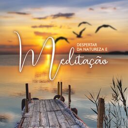 Album cover of Despertar da Natureza e Meditação: Sons de Pássaros para Relaxar