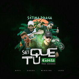Album cover of Sei Que Tu Gosta