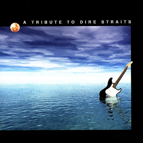A Tribute To Dire Straits