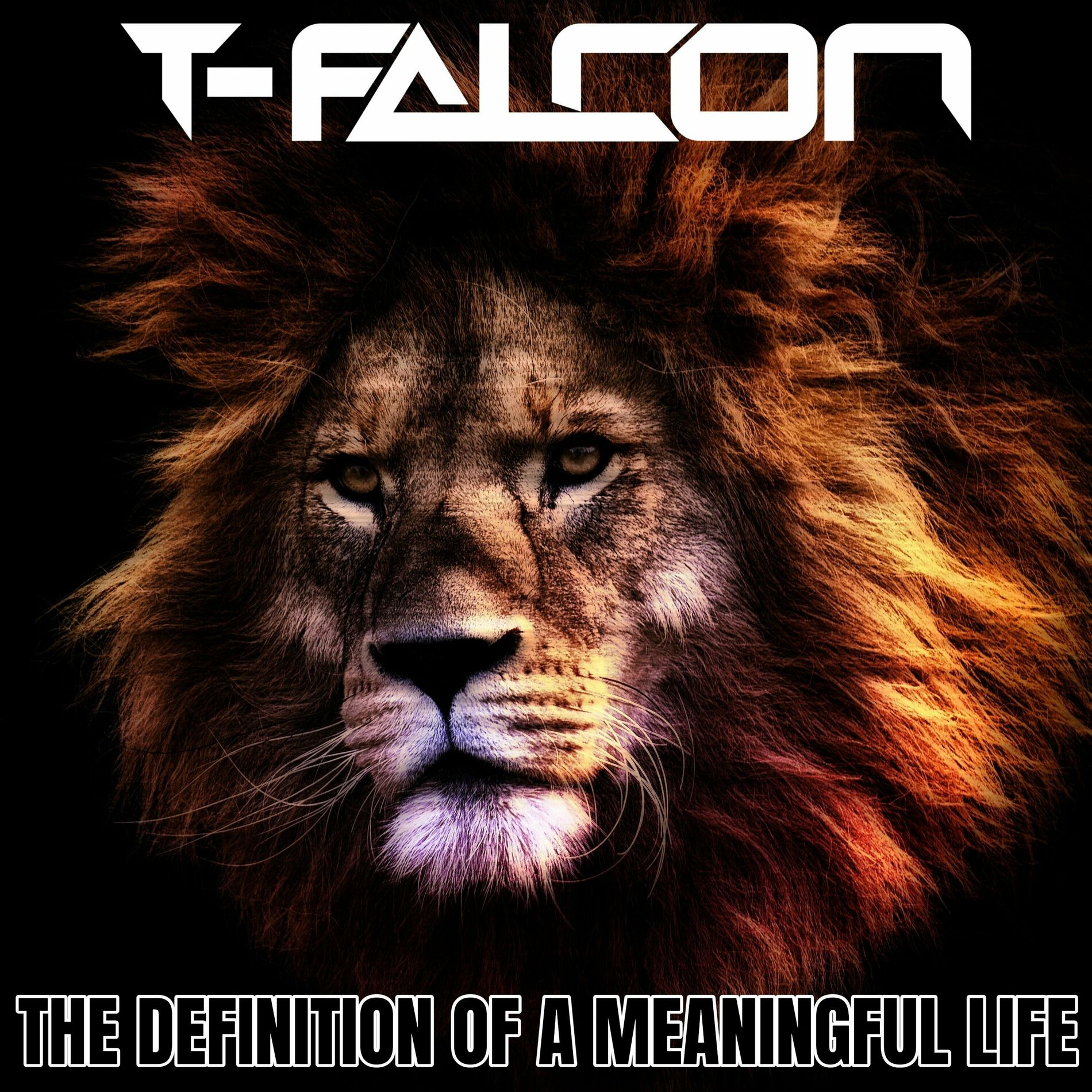 T Falcon   The Definition Of A Meaningful Life Radio Edit ...