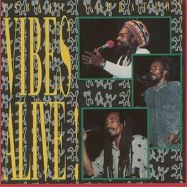 Album cover of Vibes Alive! (Live in Santa Cruz 1991)