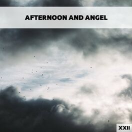 Album cover of Afternoon And Angel XXII