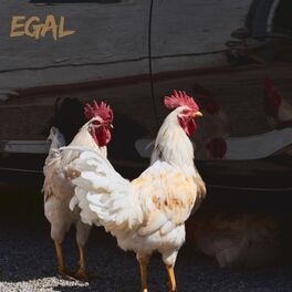 Album cover of Egal (feat. Rrotzer)