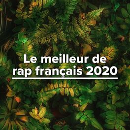Album cover of Le meilleur de rap français 2020