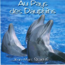 Album cover of Au pays des dauphins