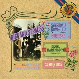 Album cover of Strauss: Symphonia Domestica & Burleske