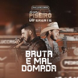 Album cover of Bruta e Mal Domada