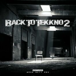 Album cover of Back to Tekkno 2